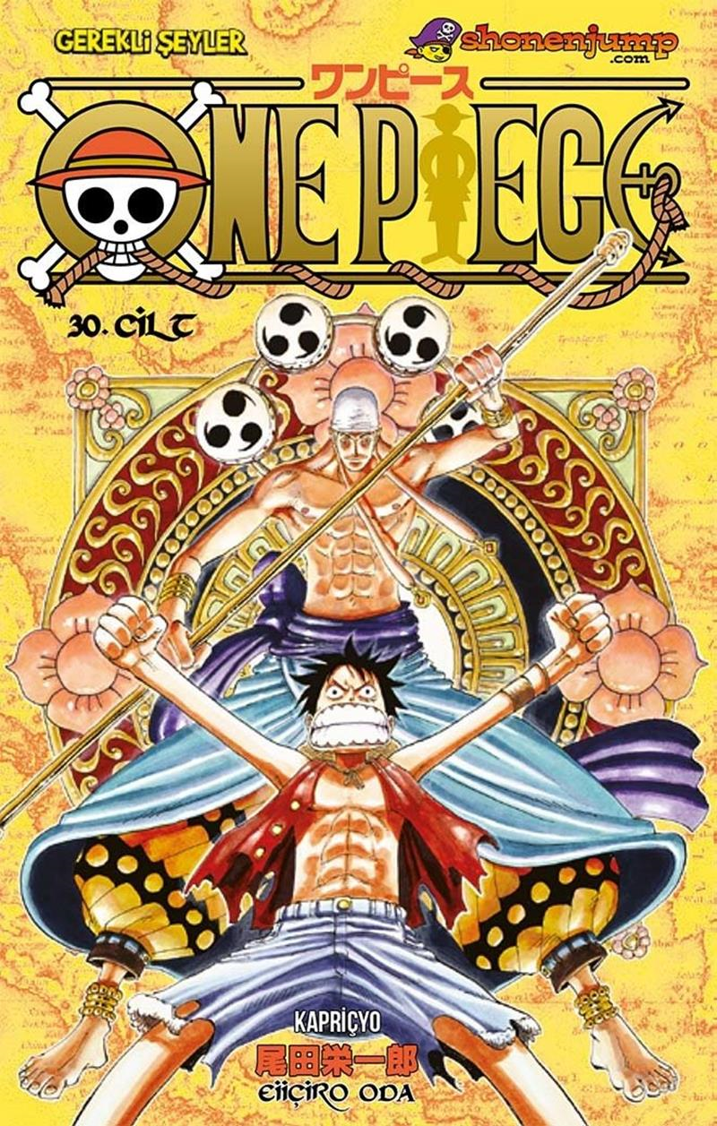 One Piece - Cilt 30