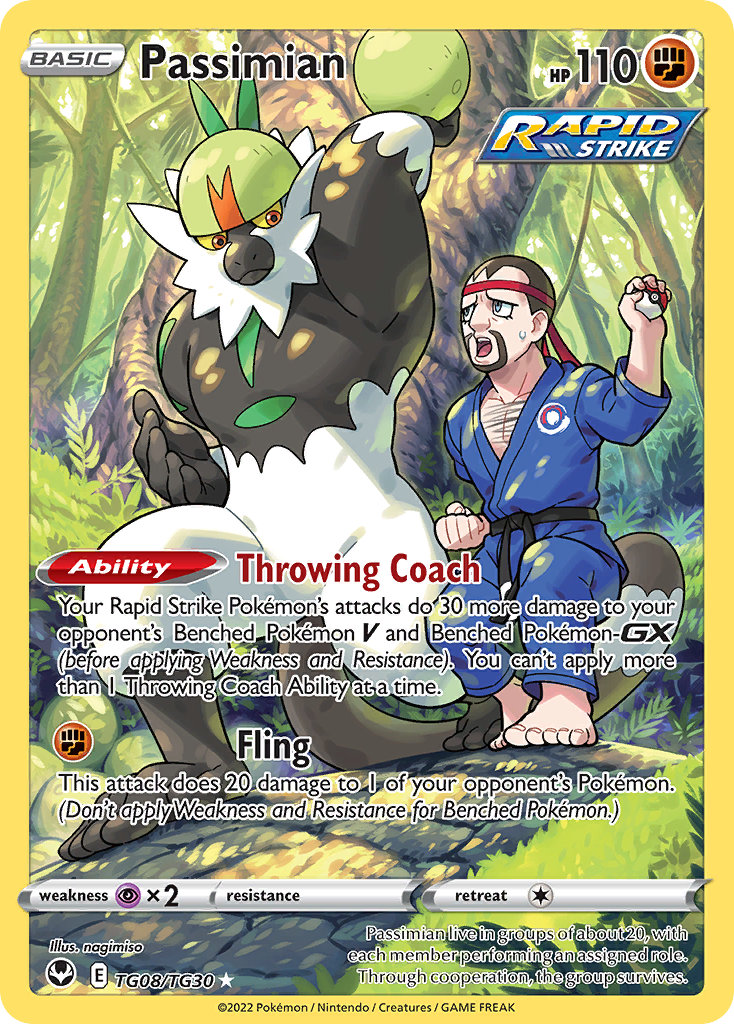 Passimian TG08/TG30 - Silver Tempest