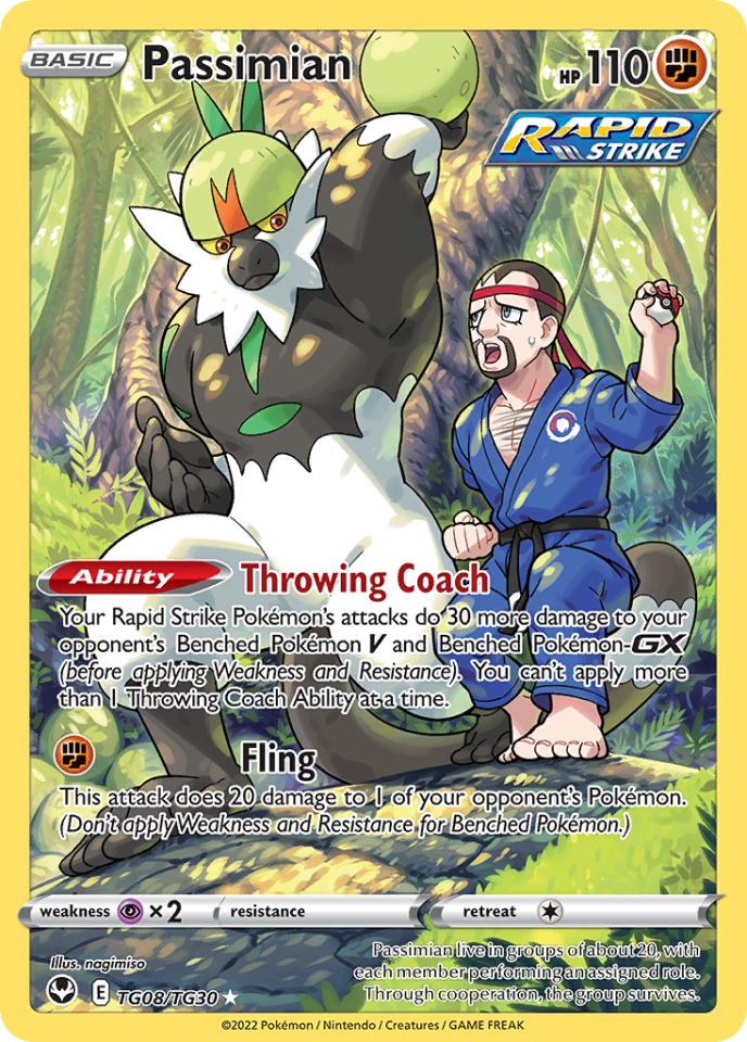 Passimian TG08/TG30 - Silver Tempest