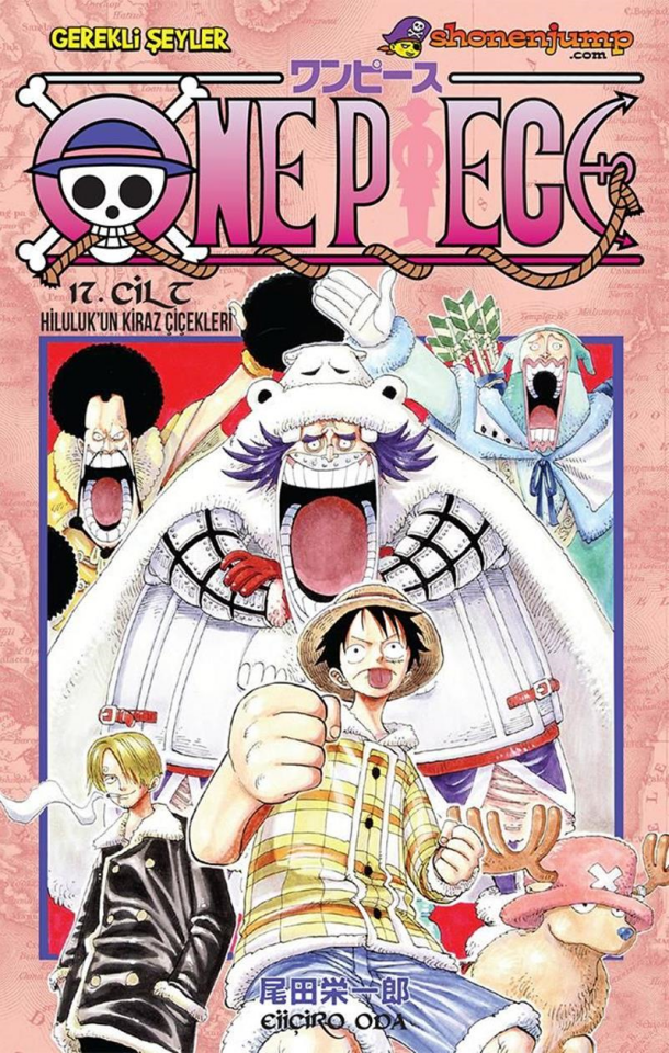 One Piece - Cilt 17