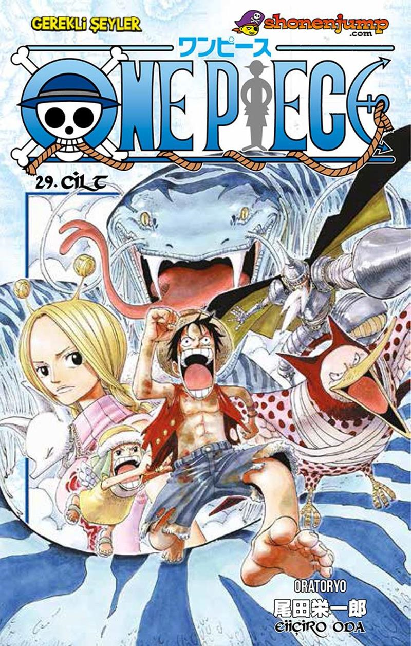 One Piece - Cilt 29