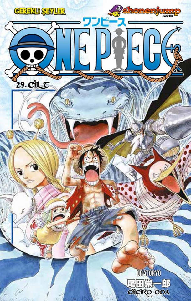 One Piece - Cilt 29