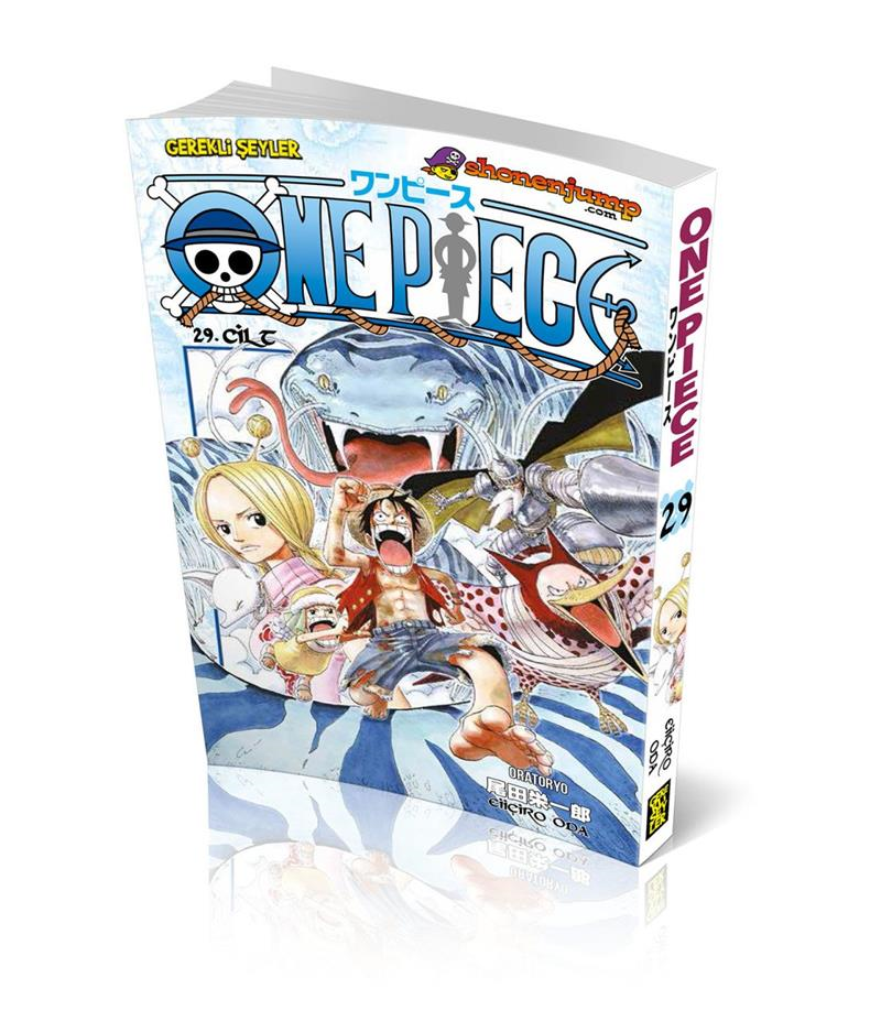 One Piece - Cilt 29