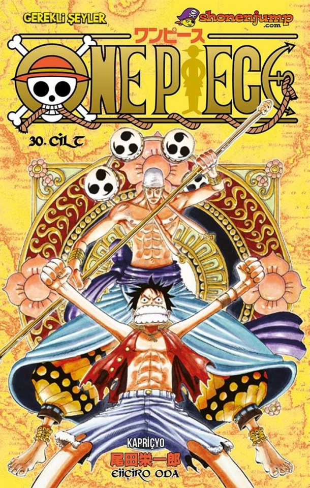 One Piece - Cilt 30