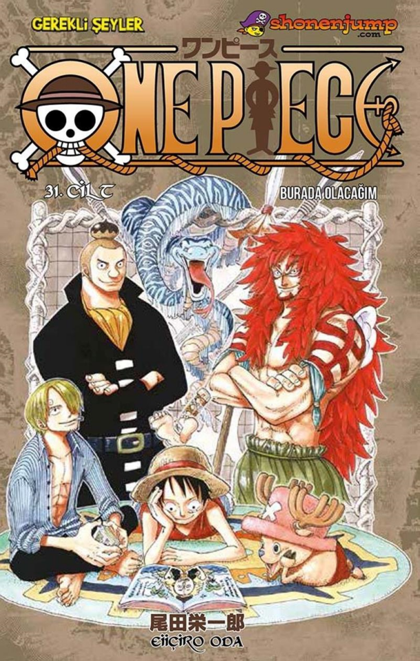 One Piece - Cilt 31