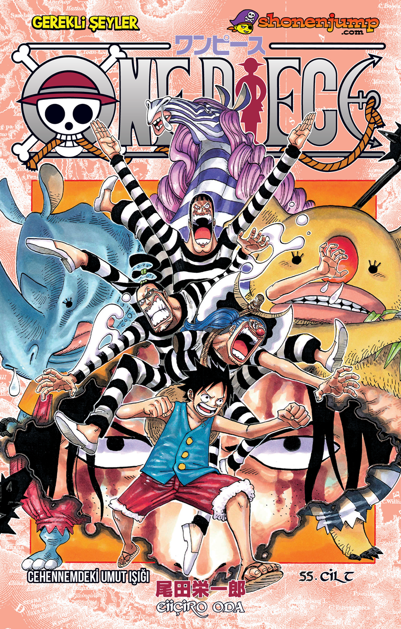 One Piece - Cilt 55