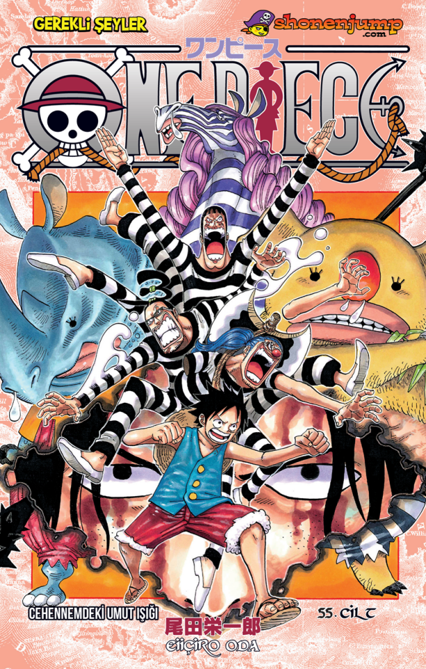 One Piece - Cilt 55